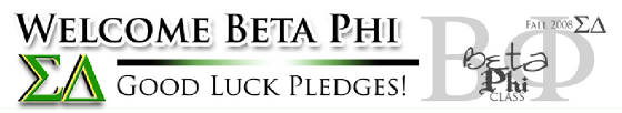 2008SDbannerBETAPHI.jpg